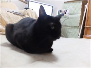 s-DSCF8348.jpg