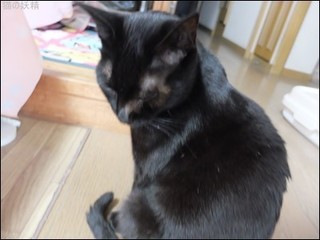 s-DSCF8360.jpg